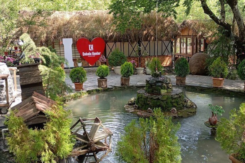 Un jardín con un estanque, estructuras de madera y plantas en macetas. 4
