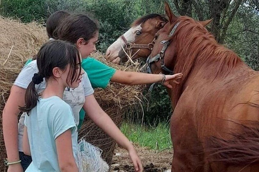 Horseback riding in the Tuscan countryside from Florence 3