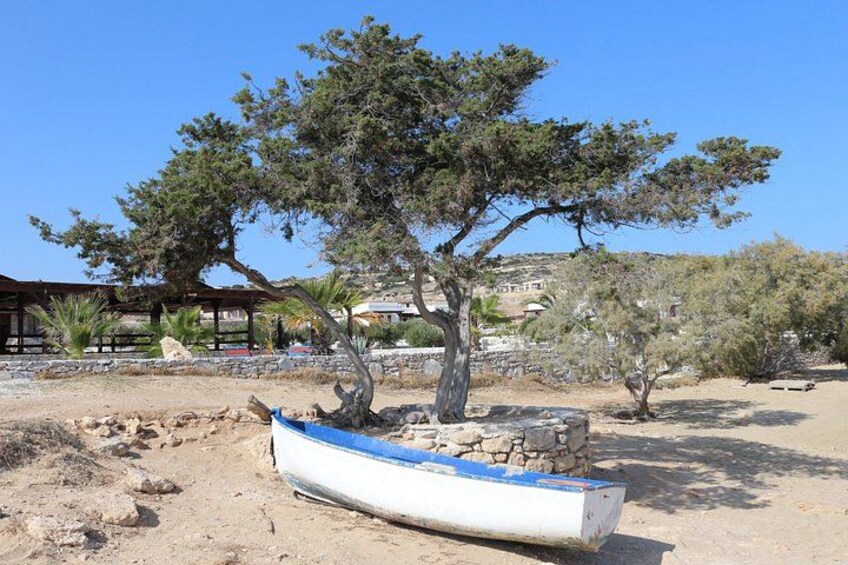 Walking and Tasting Experience Food Tour Mykonos 2