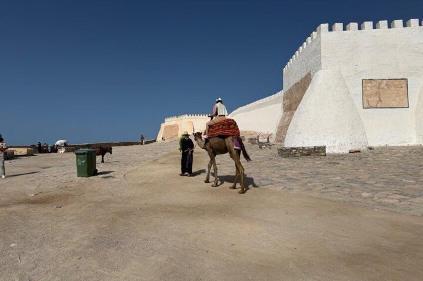 Ein Kamel mit Reiter in historischer Umgebung, eine weiße Mauer mit Zinnen und ein klarer, blauer Himmel. 3