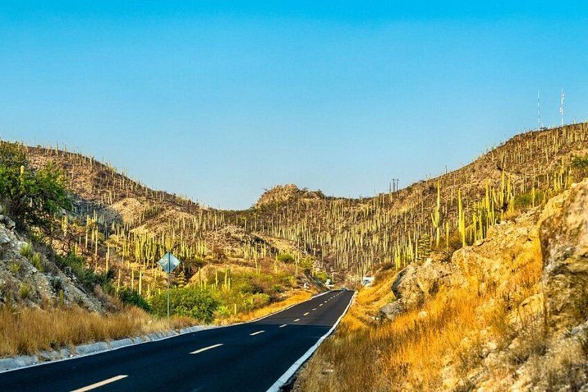 From Puebla: Private Tour to Tehuacán Biosphere Reserve + mezcal 1
