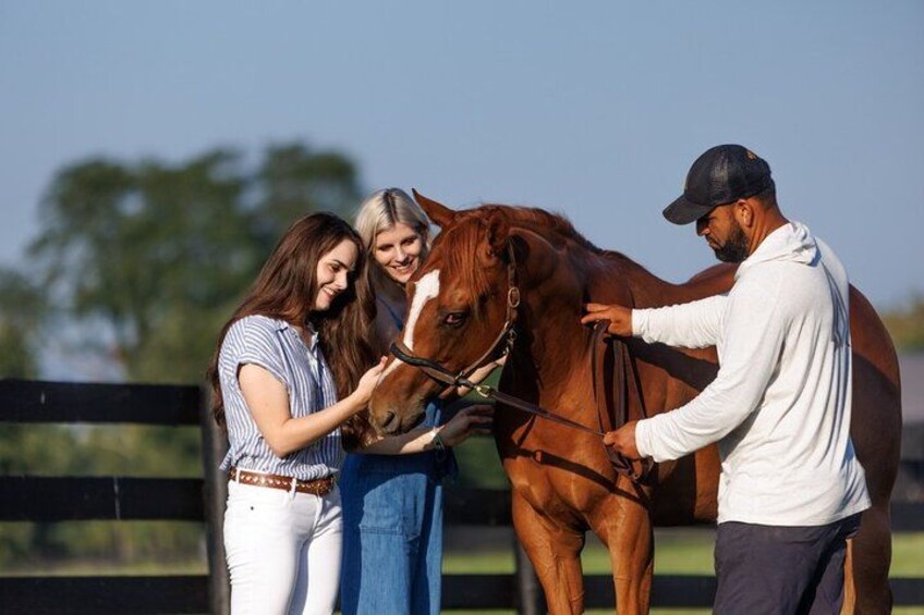 A person leading a horse, two people standing beside, and a fence in the background. 1