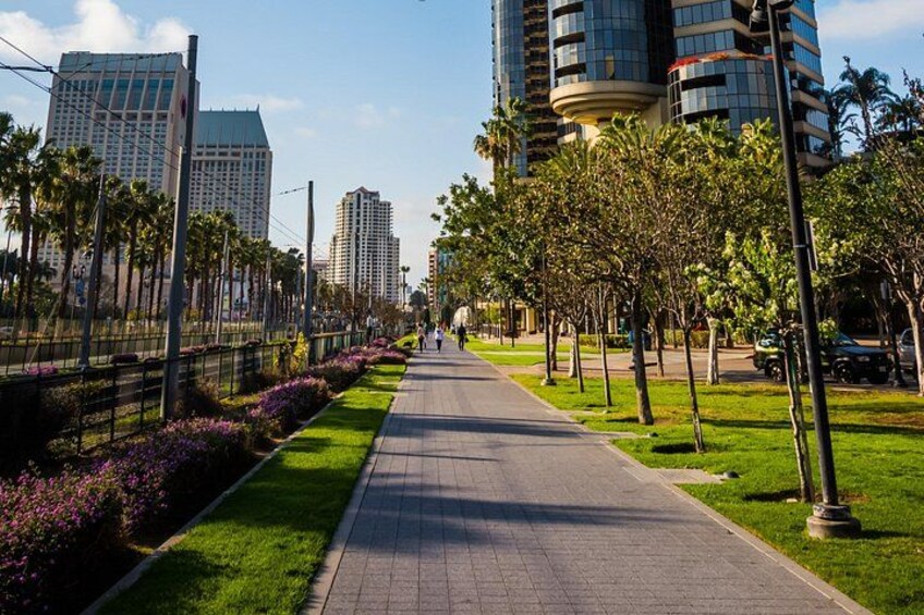 Una acera urbana bordeada de árboles y flores, con edificios altos al fondo. 2