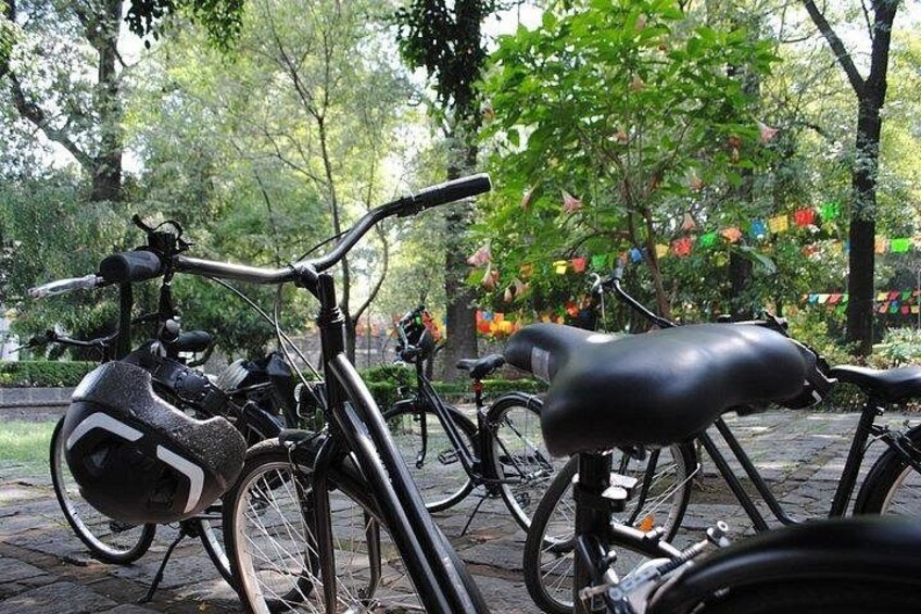 Frida Kahlo VIP - Bike & Churros [Museum Tickets Included] 5