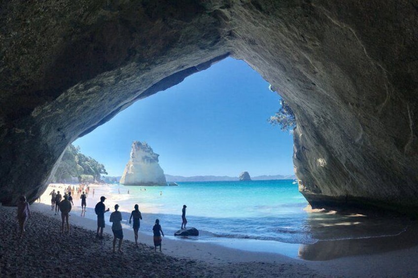Cathedral Cove Day Trip from Auckland 5