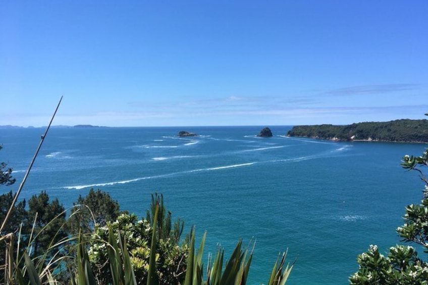 A coastal landscape with clear blue waters, a distant island, and lush greenery. 2