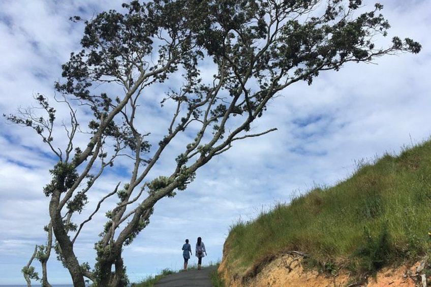 Cathedral Cove Track 3