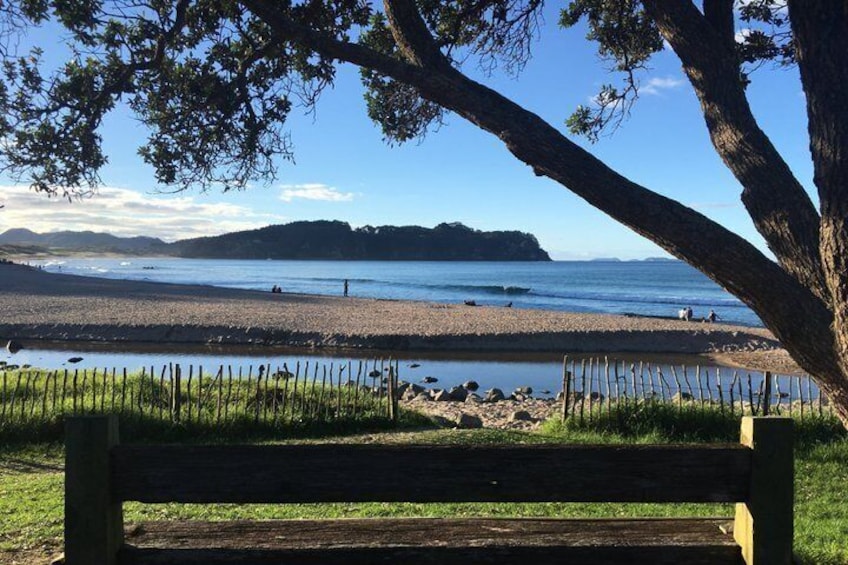 A beach with a wooden bench, a fence, and a tree. 4