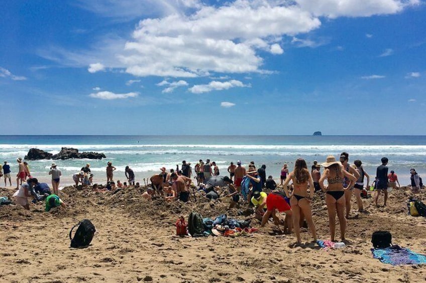 Cathedral Cove & Hot Water Beach Small Group Tour from Auckland 2