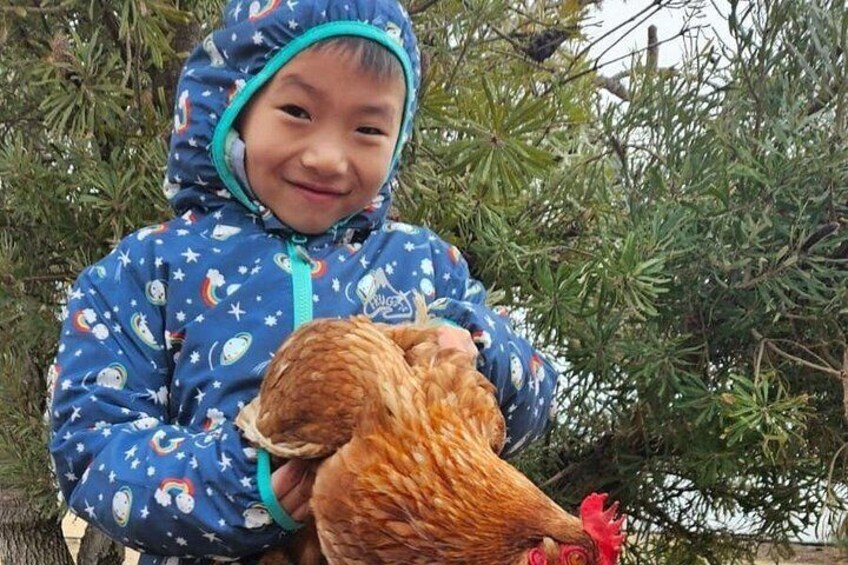 A person holding a chicken. 2