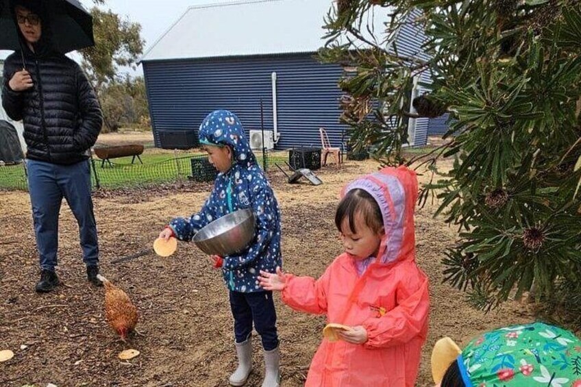 Children feeding chickens, a person holding an umbrella, and a Christmas tree in the background. 4