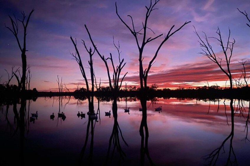 A sunset over a calm lake with bare trees reflecting in the water. 5