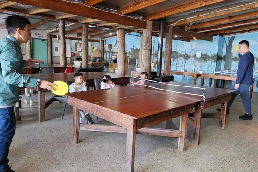 Table Tennis & Games 2