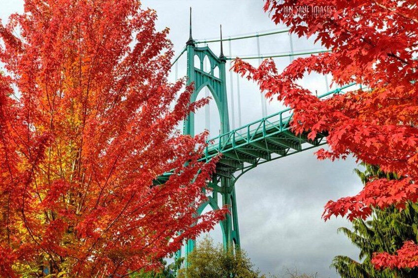 'The Best of Portland' City Tour: Small-Group Sightseeing Tour 3