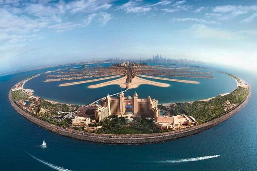 Palm Island 4