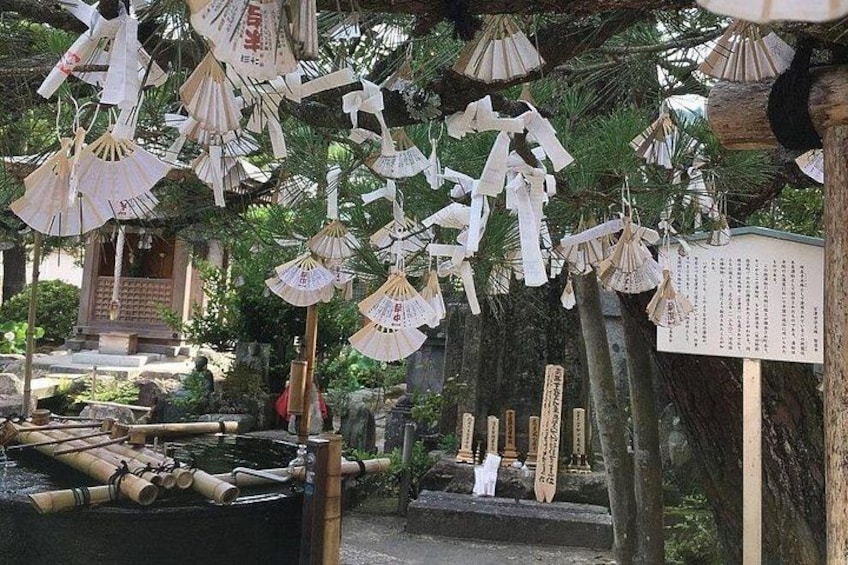 Amanohashidate & Ine Funaya Sightseeing Full Day Trip from Kyoto 3