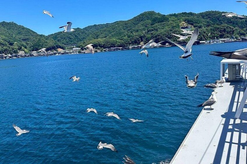 Amanohashidate & Ine Funaya Sightseeing Full Day Trip from Kyoto 5