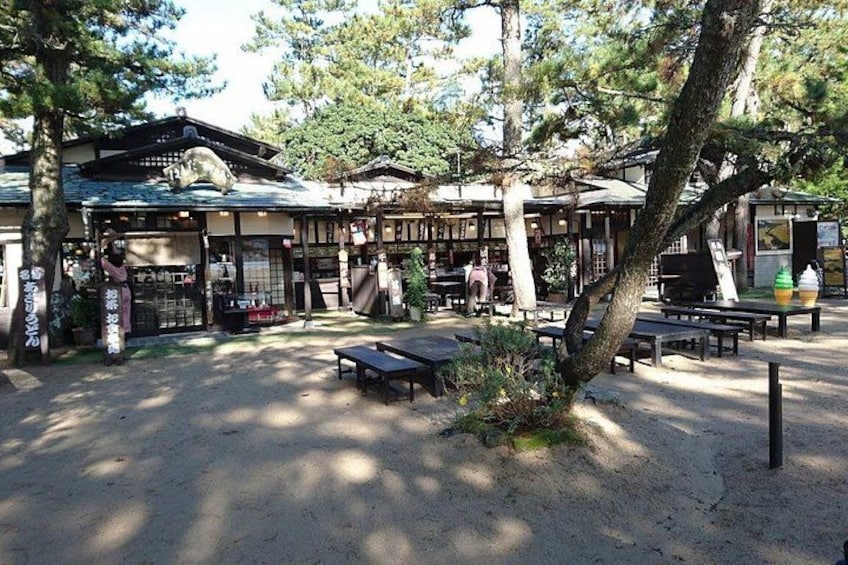 Amanohashidate & Ine Funaya Sightseeing Full Day Trip from Kyoto 2