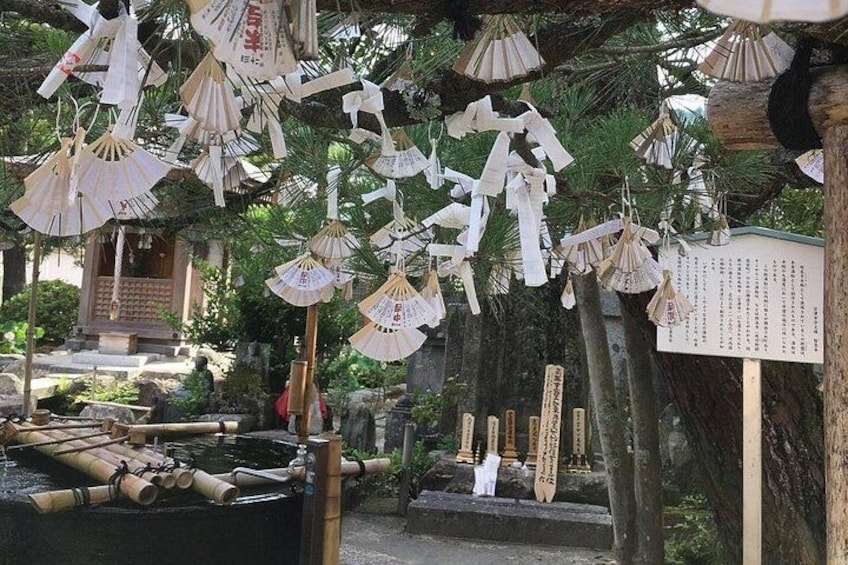Amanohashidate & Ine Funaya Sightseeing Full Day Trip from Kyoto 3