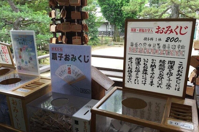 Amanohashidate & Ine Funaya Sightseeing Full Day Trip from Kyoto 2