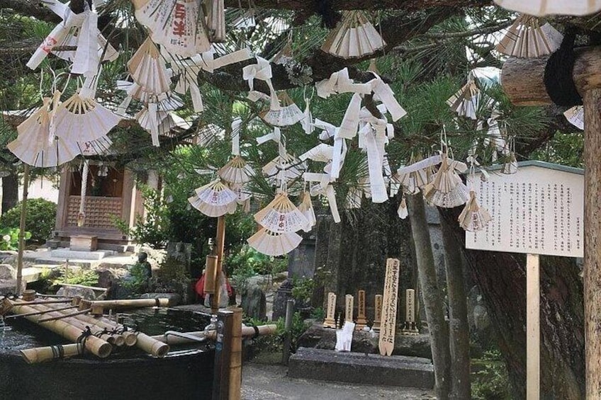 Amanohashidate & Ine Funaya Sightseeing Full Day Trip from Kyoto 3