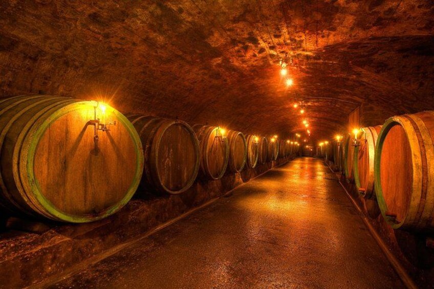 wine cellar, wine, wine barrel, wine tasting, winery 2
