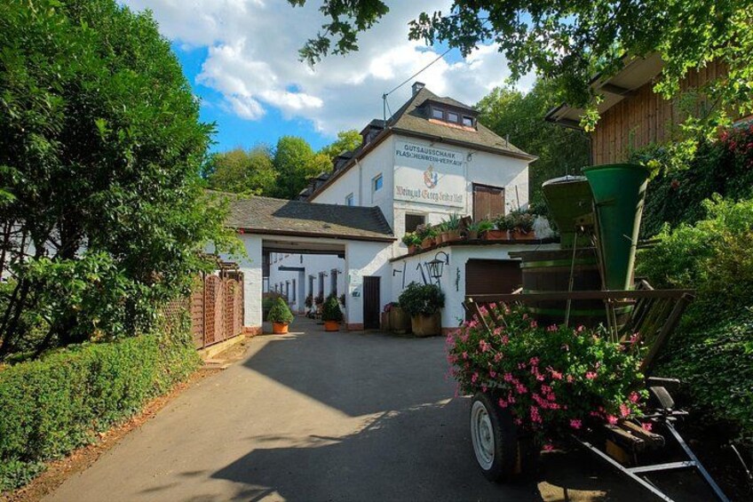 Winery, Winery, Wine tasting 2