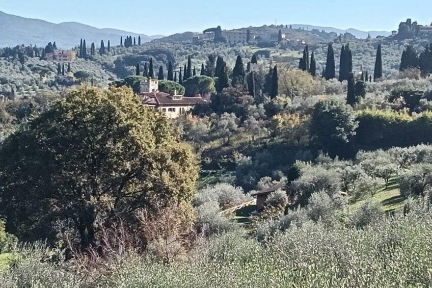 Private Golf Cart Tour in Florence 2