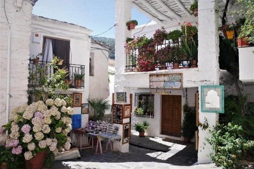 Tour to the villages of the Alpujarra from the center of Granada 3