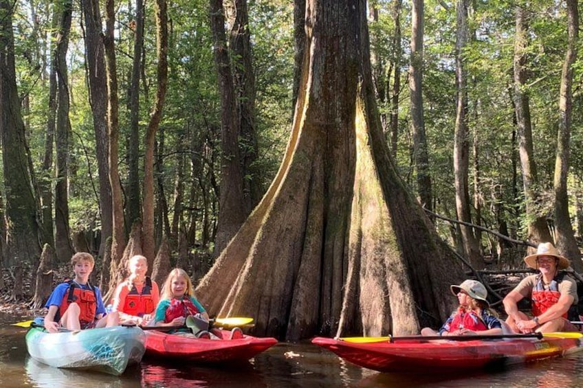 Persone su kayak in un fiume circondato da alberi. 1