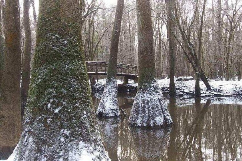 En snötäckt skog med en träbro över ett stilla vattenområde. 4