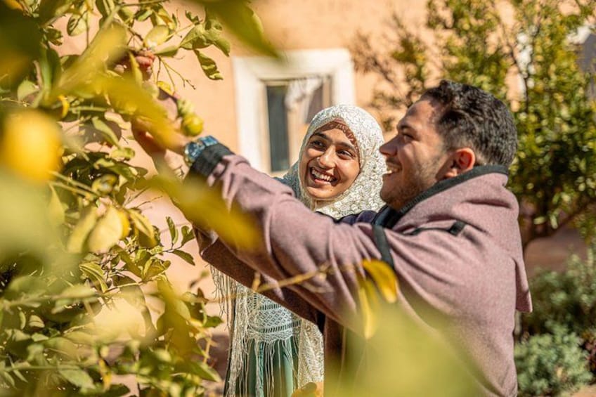 Deux personnes cueillent des citrons sur un arbre. 1