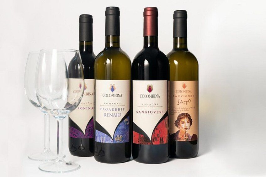 Private tastings at the Colombina Agricultural Company 1