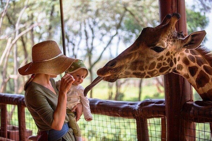 A person feeding a giraffe. 3