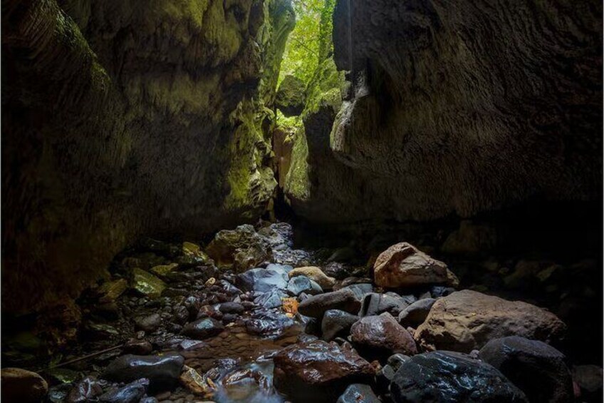 Eine Höhle mit einem Bach, Felsen und moosbewachsenen Wänden. 4