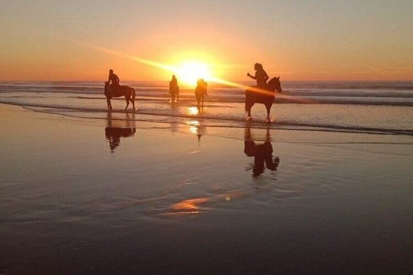 Taghazout Beach Horse Riding Experience (Morning or Sunset) 5