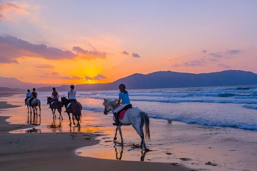 Taghazout Beach Horse Riding Experience (Morning or Sunset) 3