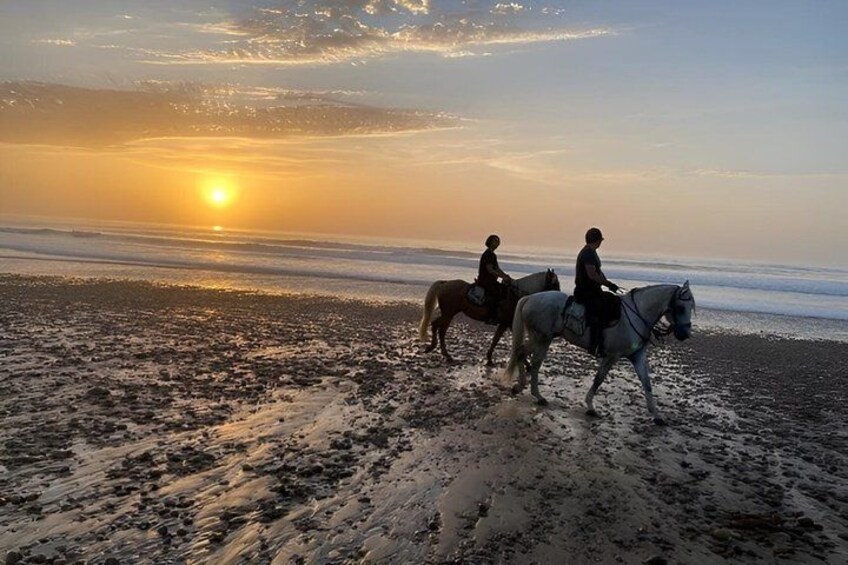 Taghazout Beach Horse Riding Experience (Morning or Sunset) 2