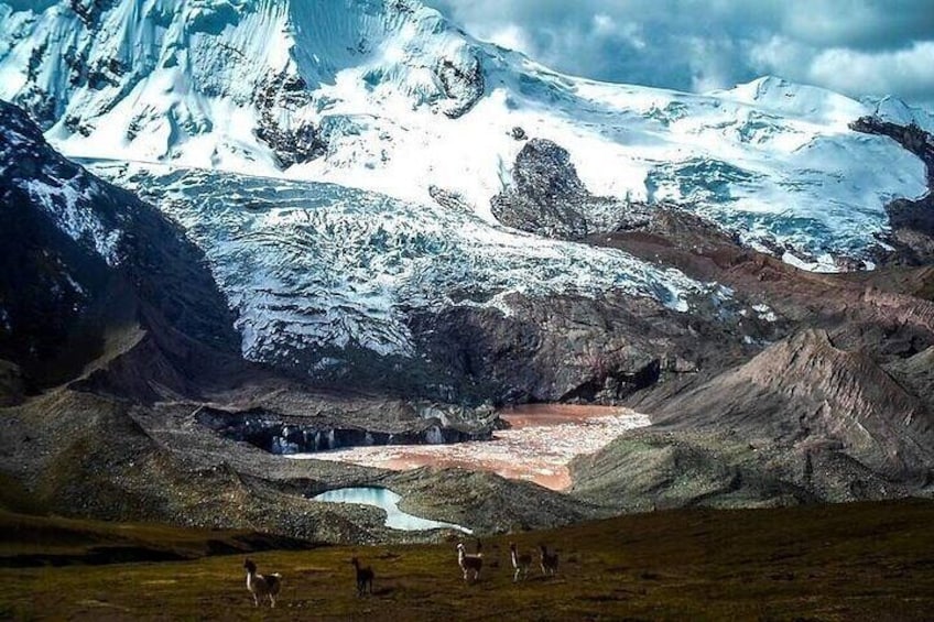 Un glacier avec un petit lac et des animaux qui paissent. 2