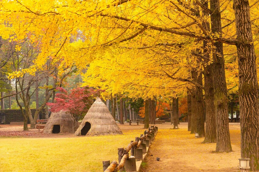 Picture 20 for Activity Seoul: Nami Island Full Day Tour with opt Gangchon Railbike 2