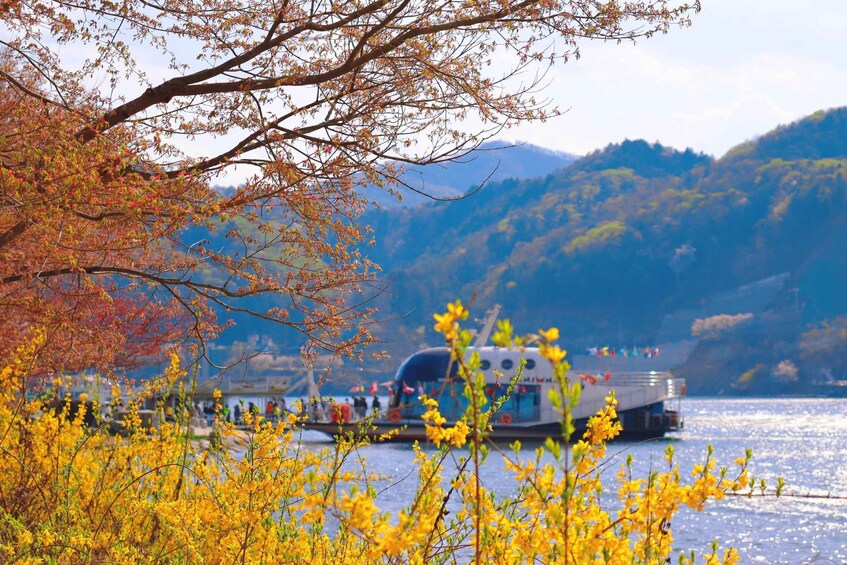 A boat on a lake with yellow flowers in the foreground and mountains in the background. 1