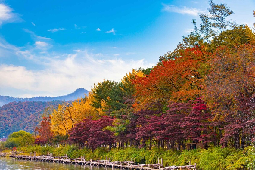 Picture 17 for Activity Seoul: Nami Island Full Day Tour with opt Gangchon Railbike 3