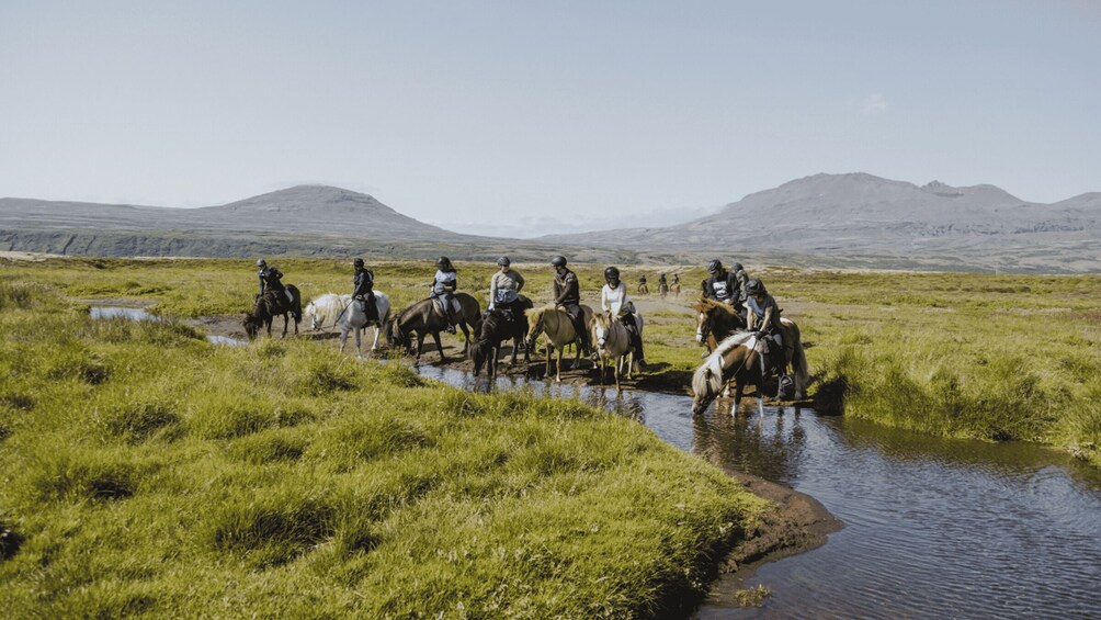 Picture 2 for Activity Borgarnes: Horseback Riding Tour with Prep Lesson