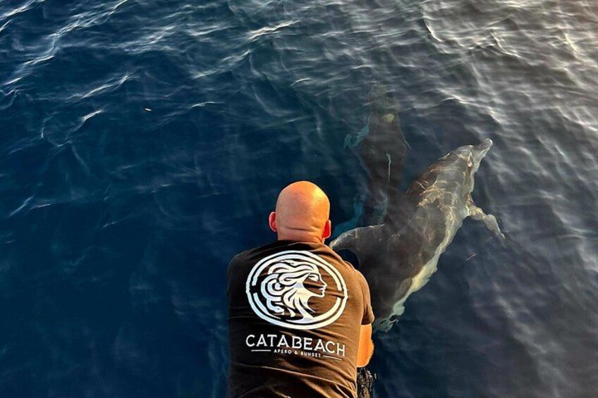 Catamaran Cruise - Bloodthirsty Islands Sunset 3