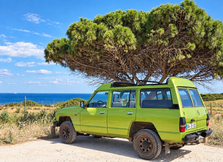 Full-Day Southwest Jeep Safari with Lunch included 1