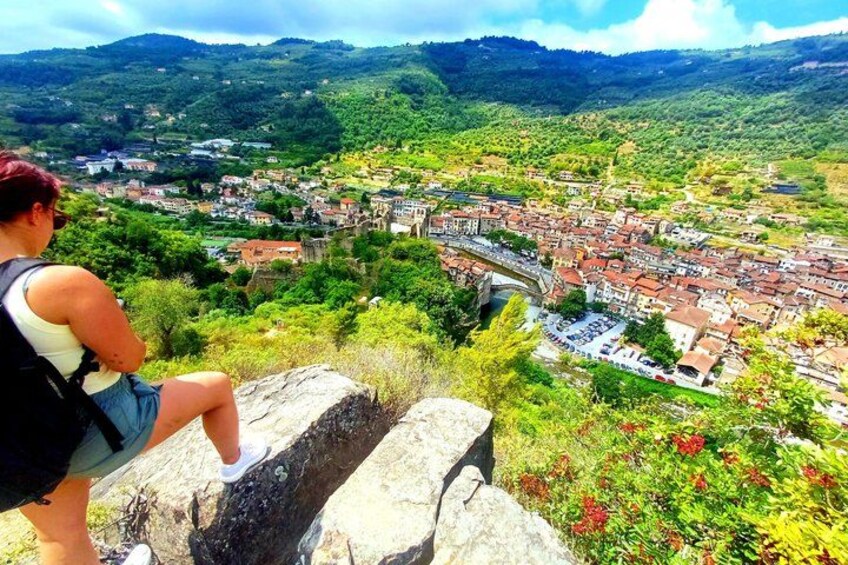 A person overlooking a town with a river, surrounded by greenery and hills. 2