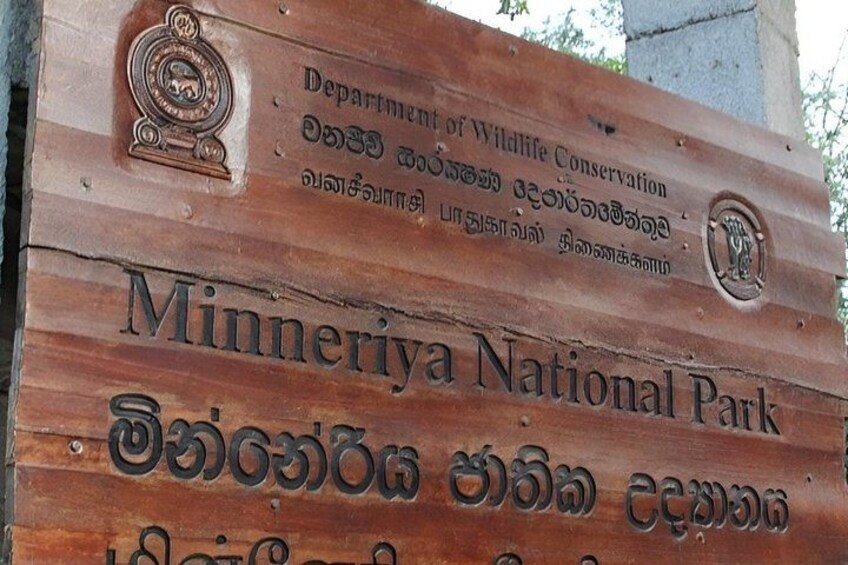 Sigiriya & Dambulla Day Trip with Safari From Negombo or Colombo 3