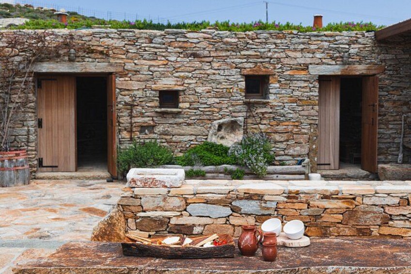 Cheese and Wine Tasting (Guided Tour INCLUDED) 3