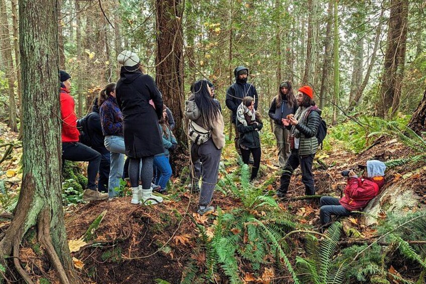 Un groupe de personnes se trouve dans une zone boisée, entourée d'arbres et de fougères. 2