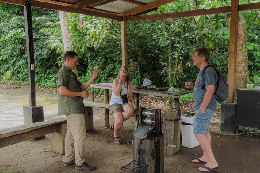 Coffee, Chocolate and Sugarcane Tour La Fortuna 2